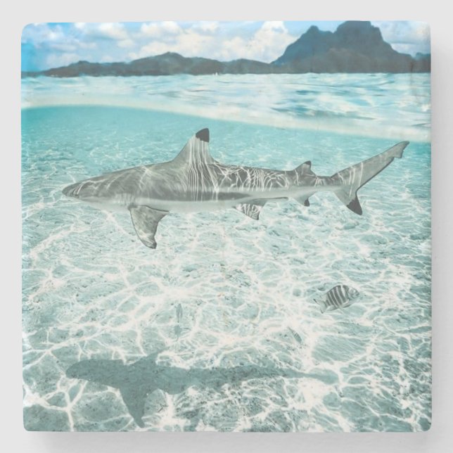 Hajar i Vatten Stenunderlägg (Framsidan)