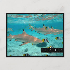 Hajar i vykortet för Bora Bora lagunram Vykort