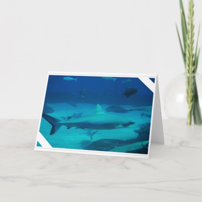 Hajar Kort (Framsida)