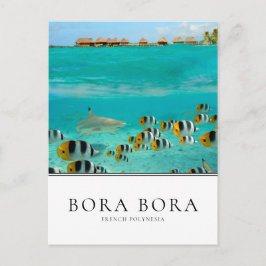 Hajar och fiskar i Bora Bora, Fransk Polynesien Vykort