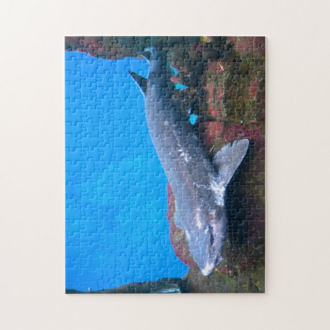 Hajar på havet. pussel (Vertikal)
