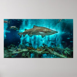 Hajar på stolpen poster