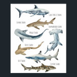 Hajar Poster<br><div class="desc">Utformningen har 7 olika typer av hajar i vattenfärg. Om du vill komma åt avancerad redigering av verktyg går du till "Anpassa",  rulla ner och trycker på länken "klicka för att anpassa ytterligare".</div>