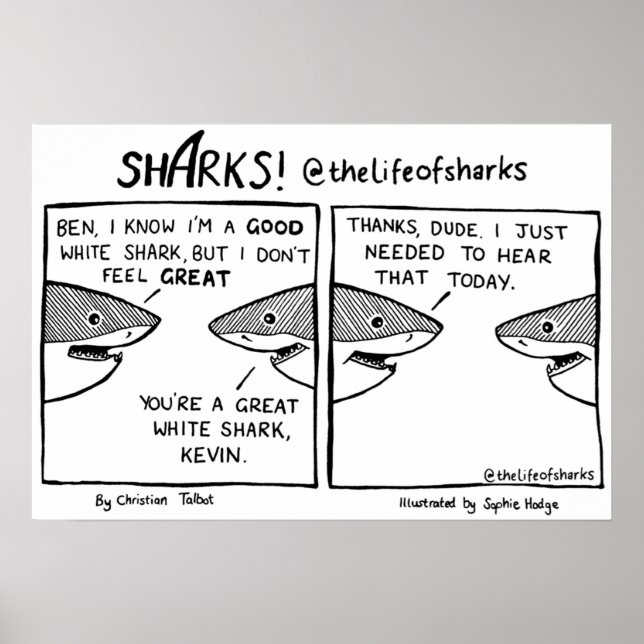 Hajarnas Underbara vithaj Poster (Framsidan)