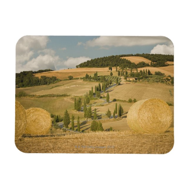Hajbalar och rulllandskap, Toscana, Italien Magnet (Horisontell)