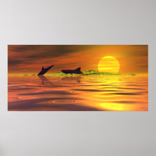 Hajen Delfin Livets Spel Poster