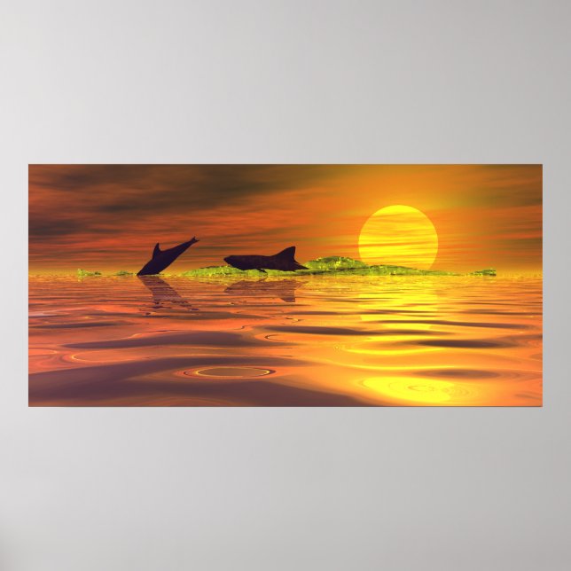 Hajen Delfin Livets Spel Poster (Framsidan)