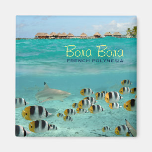 Hajen kvadrerar magneten med Bora Bora text Magnet