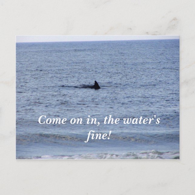 hajfenkort vykort (Framsida)