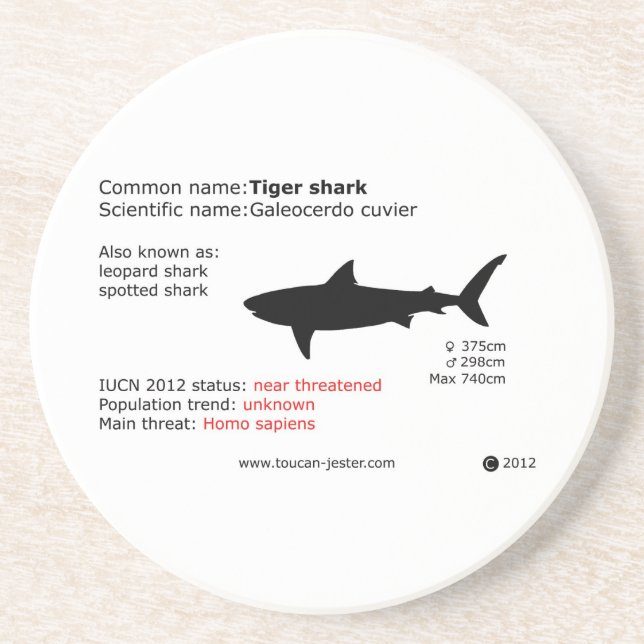 Hajhaj underlägg sandsten (Framsidan)