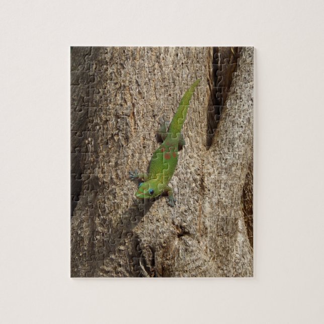 Hajisk gecko tropiska pussel (Vertikal)