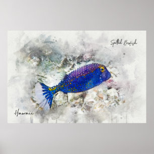 Hajisk tropisk fiskvattenfärg - Boxfish Poster