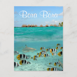 Hajjagande fisk i Bora Bora-textvykort Vykort