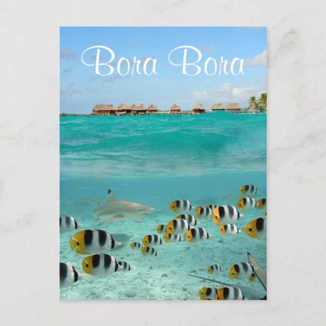 Hajjagande fisk i Bora Bora-textvykort Vykort (Framsida)
