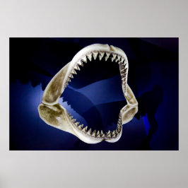 Hajkäkar och tänder poster FRÅN 14,95