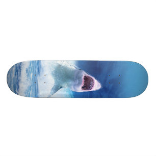 HAJKÄKAR ÖPPNAR MINI SKATEBOARD BRÄDA 18,5 CM