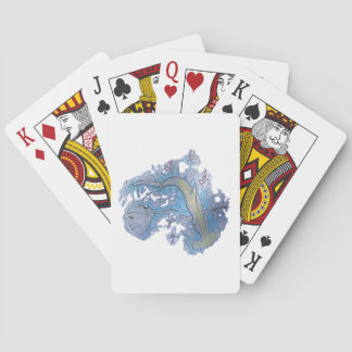 hajkort casinokort