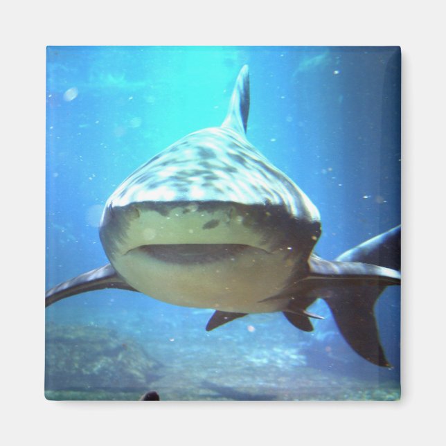 Hajkvadratisk magnet (Framsidan)