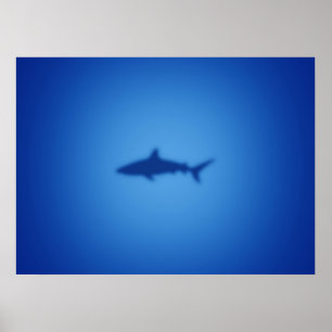 Hajsilhuett Poster