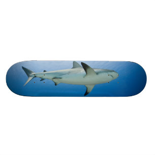 HajSkateboard Old School Skateboard Bräda 21,6 Cm