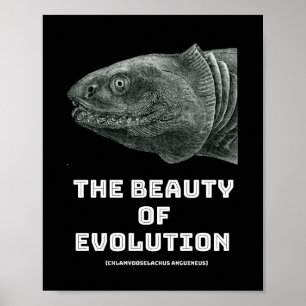 Hajskönhet i evolution poster
