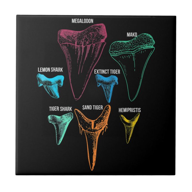 Hajtandjakt - galna hajgåvor kakelplatta (Framsidan)