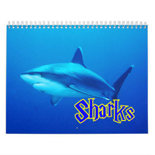 Hajväggkalender Kalender