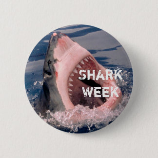 Hajveckan knäppas knapp