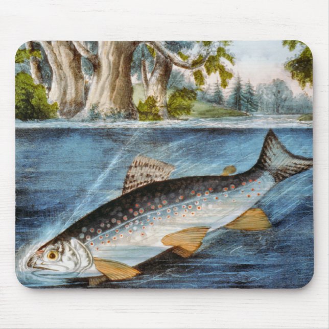 Hakad fisk musmatta (Framsidan)