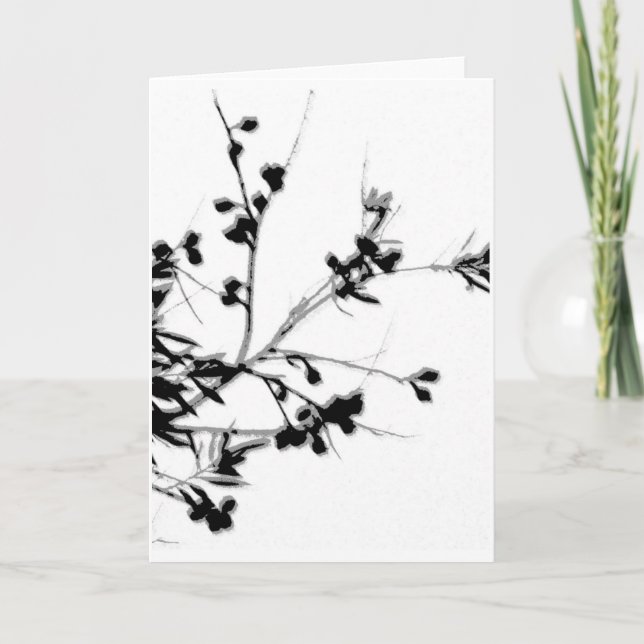 Hakia Kort (Framsida)