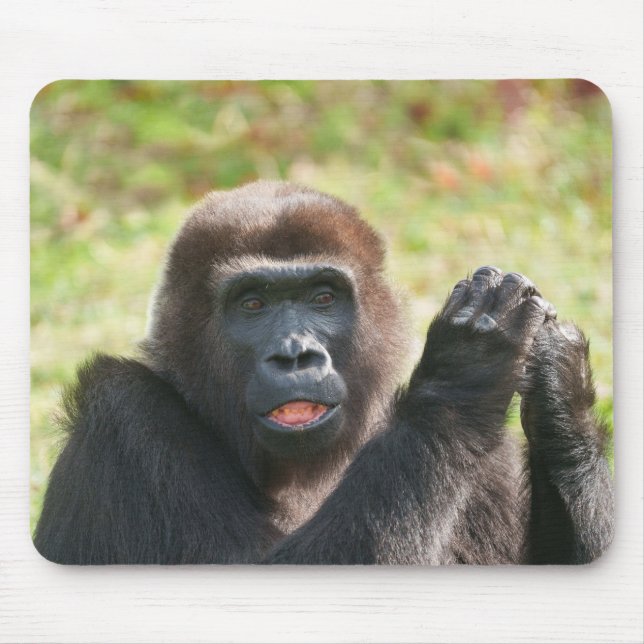 Hakuna Matata Gorilla Musmatta (Framsidan)