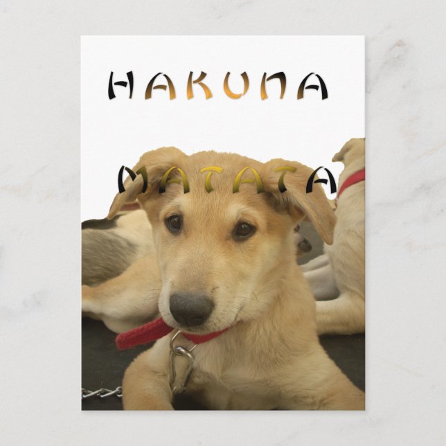 Hakuna Matata Jag vet vad du tänker på bild Vykort (Framsida)
