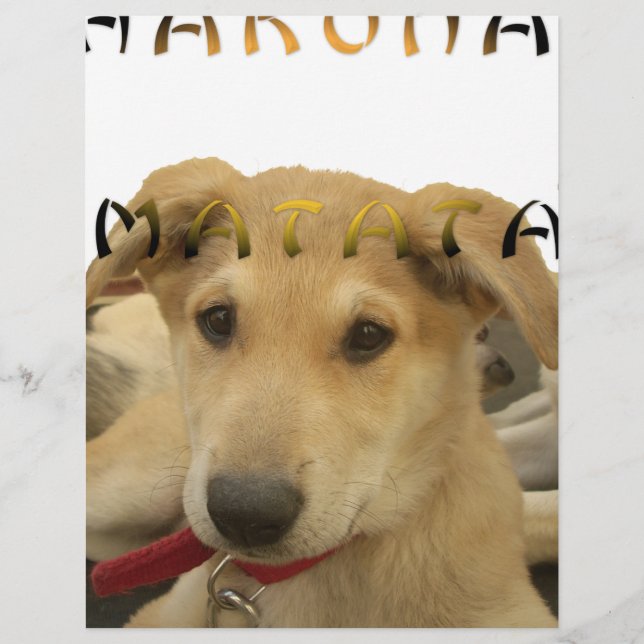 Hakuna Matata Jag vet vad du tänker på pinctur (Framsida)