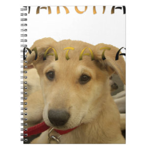 Hakuna Matata Jag vet vad du tänker på pinctur Anteckningsbok