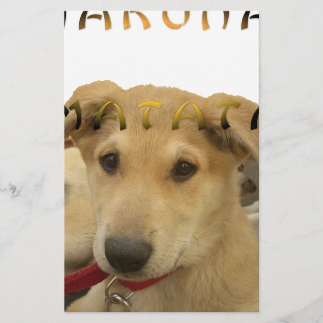 Hakuna Matata Jag vet vad du tänker på pinctur Brevpapper (Framsida)