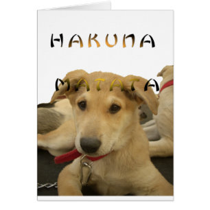 Hakuna Matata Jag vet vad du tänker på pinctur Hälsningskort