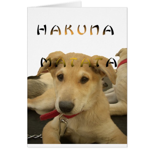 Hakuna Matata Jag vet vad du tänker på pinctur Hälsningskort (Framsidan)