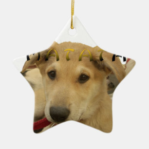 Hakuna Matata Jag vet vad du tänker på pinctur Julgransprydnad Keramik