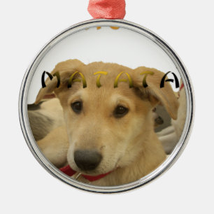 Hakuna Matata Jag vet vad du tänker på pinctur Julgransprydnad Metall