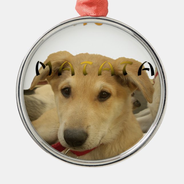 Hakuna Matata Jag vet vad du tänker på pinctur Julgransprydnad Metall (Framsidan)