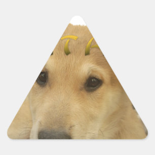 Hakuna Matata Jag vet vad du tänker på pinctur Triangelformat Klistermärke