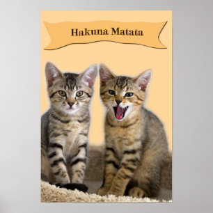 Hakuna Matata kattungeaffisch Poster