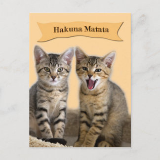 Hakuna Matata Kitten Postcard Vykort