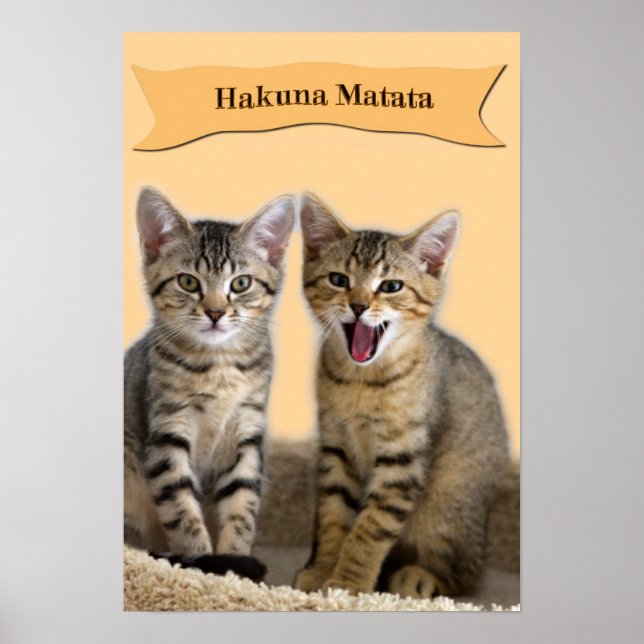 Hakuna Matata kitten poster (Framsidan)