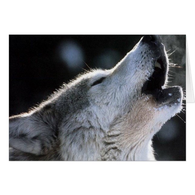 hala hälsningskort (Framsidan Horizontal)