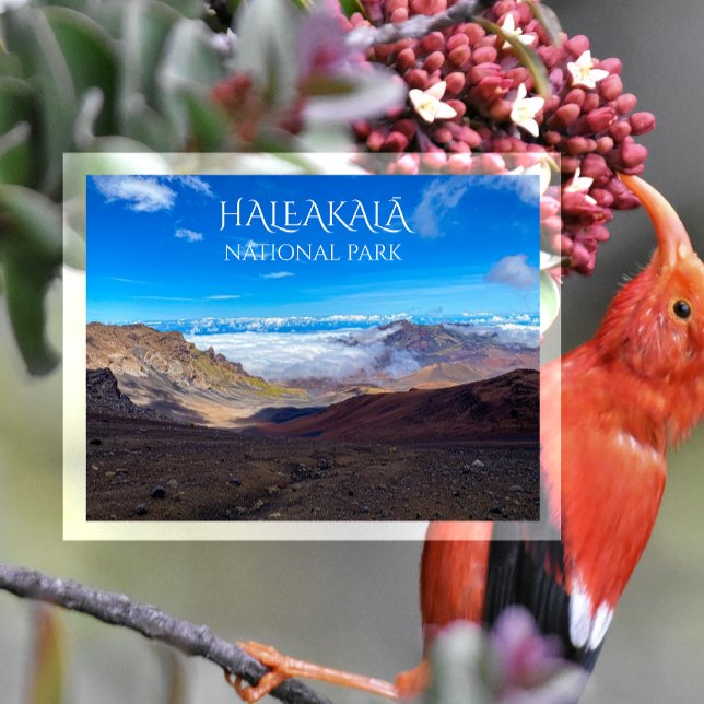 Haleakala Crater, toppmöte, Haleakala nationalpark Vykort (Skapare uppladdad)