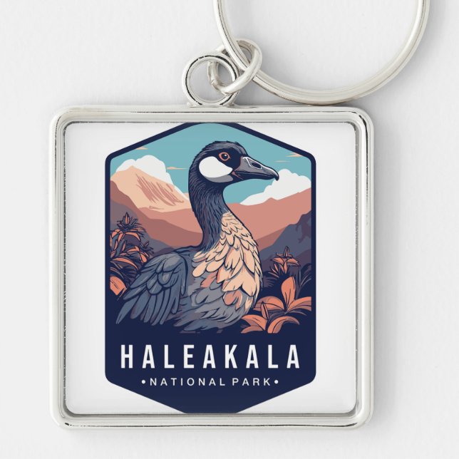 HALEAKALA NATIONALPARK FYRKANTIG SILVERFÄRGAD NYCKELRING (Framsidan)