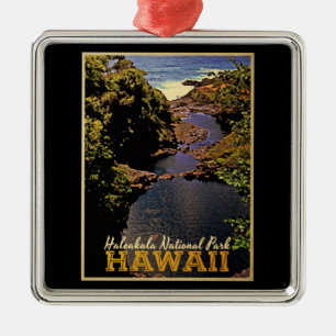 Haleakala nationalpark Hawaii Julgransprydnad Metall