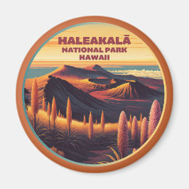 Haleakala nationalpark Hawaii Magnet