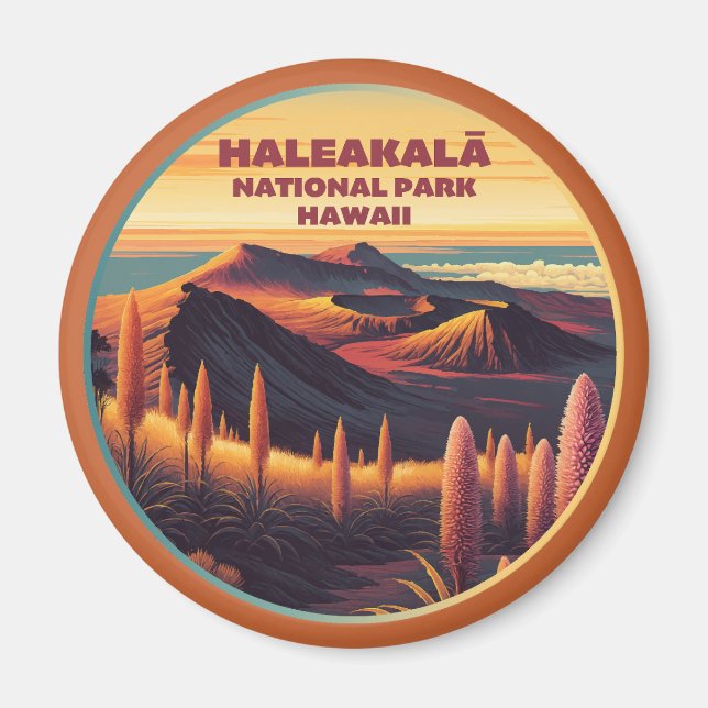 Haleakala nationalpark Hawaii Magnet (Framsidan)